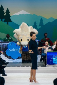 Mason Frank   Salesforce World Tour New York 12 - Salesforce World Tour New York - Gallery